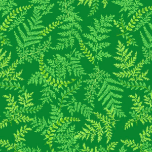 Secret Stream Ferns